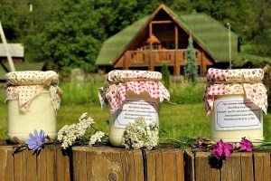 Тур Винний шлях Закарпаття: дегустація карпатської бринзи від сировара Світлани Злобіної
